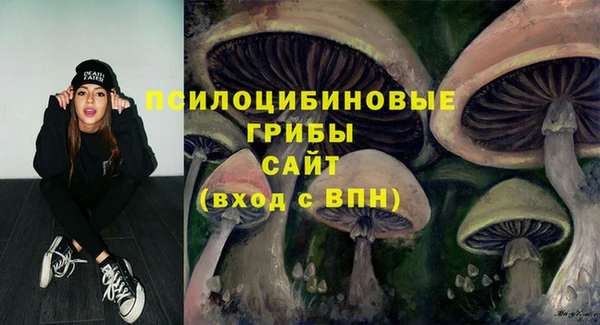 кокс Алзамай