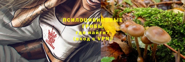 твердый Алексеевка