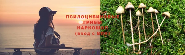 кокс Алзамай