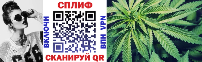 Канабис индика  Владимир 
